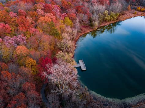 bird's eye view .